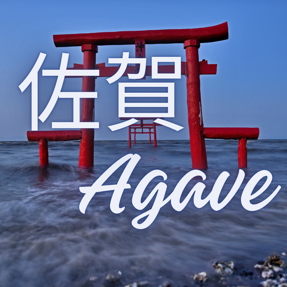 Agave佐賀