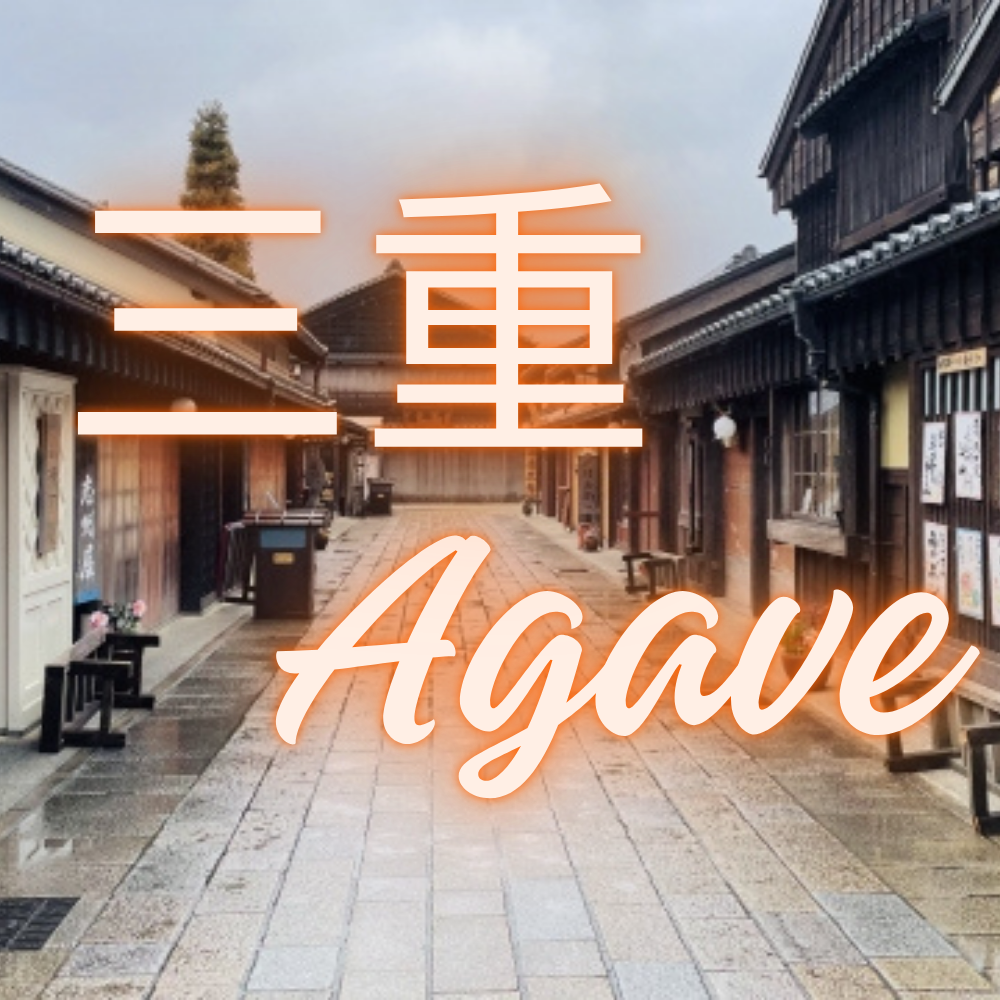 三重 アガベ